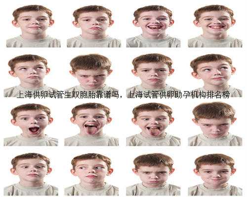 上海供卵试管生双胞胎靠谱吗，上海试管供卵助孕机构排名榜
