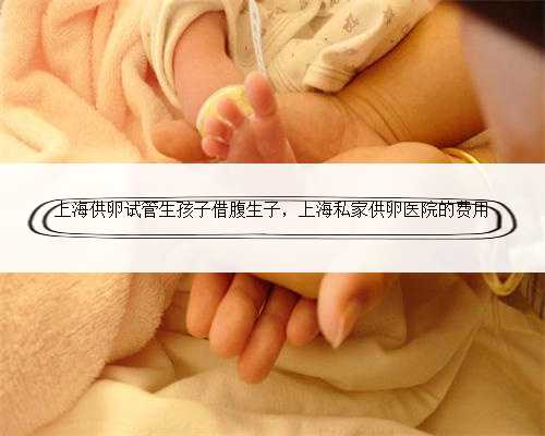 上海供卵试管生孩子借腹生子，上海私家供卵医院的费用