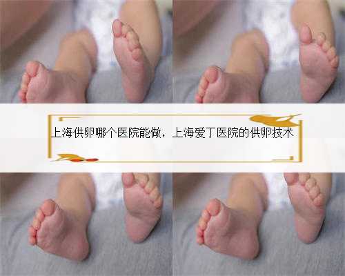 上海供卵哪个医院能做，上海爱丁医院的供卵技术