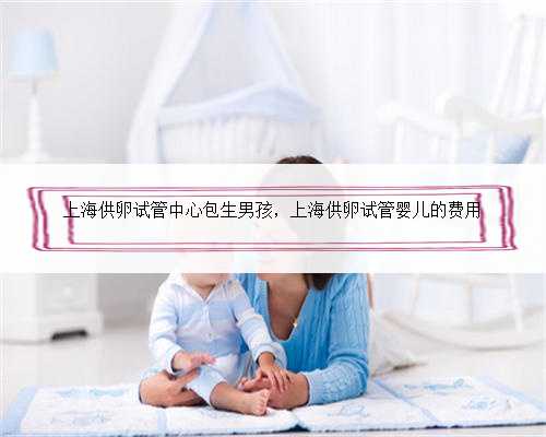 上海供卵试管中心包生男孩，上海供卵试管婴儿的费用