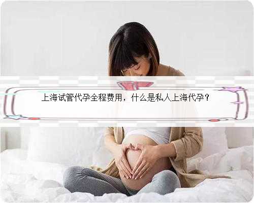 上海试管代孕全程费用，什么是私人上海代孕？