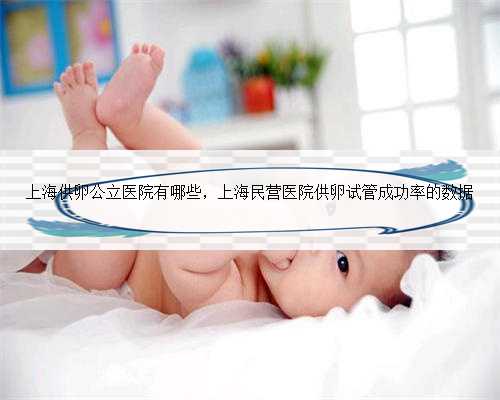 上海供卵公立医院有哪些，上海民营医院供卵试管成功率的数据