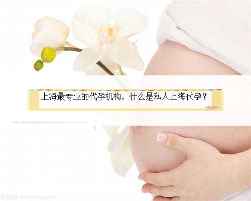 上海最专业的代孕机构，什么